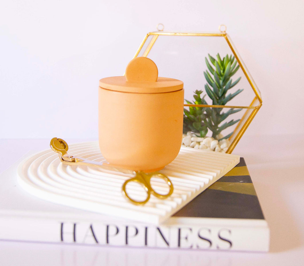 PUMPKIN SOUFFLE/ Concrete Candle
