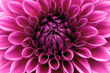 Load image into Gallery viewer, LA&#39;BELLE/Concrete Candle
